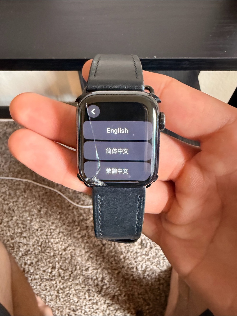 Hermes Black Apple Watch with Black Leather Strap
